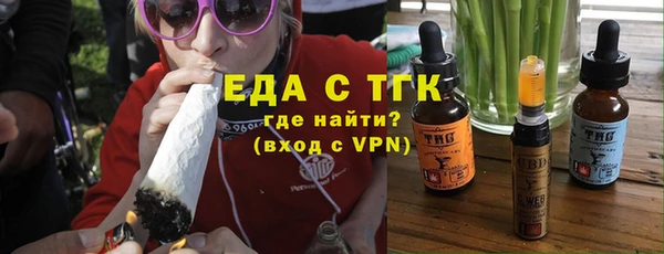 гидра Туринск