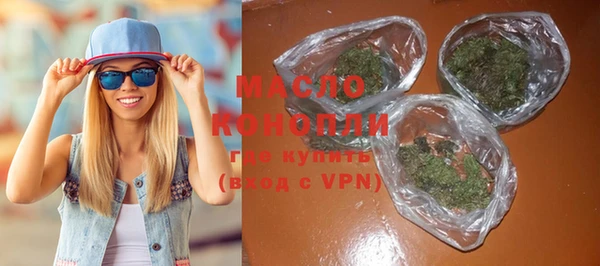 индика Тында