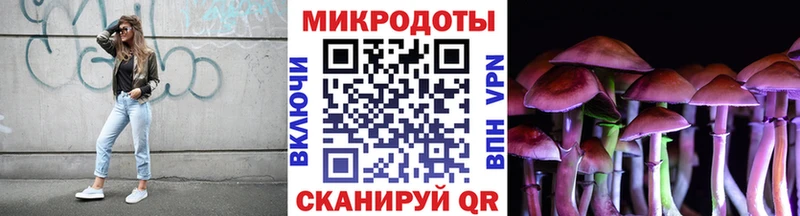 купить   Луховицы  Псилоцибиновые грибы мухоморы 